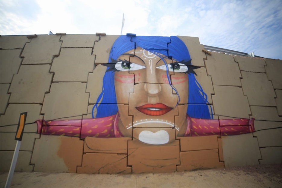 Projeto Graffizônia reúne grafiteiros e transforma viadutos de Porto Velho