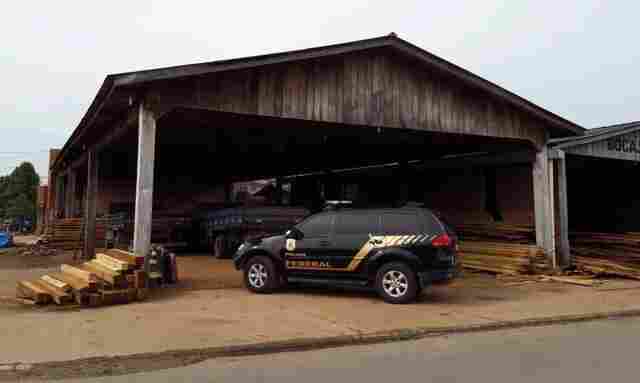 Em nova fase de operação contra madeireiros em terras indígenas, PF prende mesmo alvo da 1ª ação