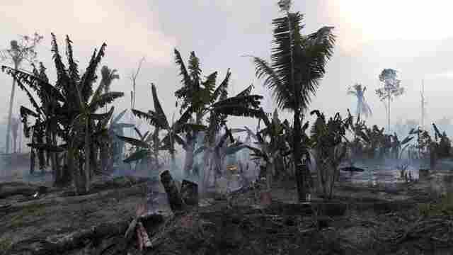 Rondônia é o estado com mais queimadas na Região Norte; multas podem chegar a R$ 7 milhões