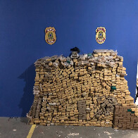 Polícia Federal deflagra Operação Sativa e cumpre 16 mandados de prisão em Rondônia, Mato Grosso e Paraná