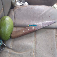 Tudo sobre o banho de sangue: Uma mulher morreu e 7 continuam em estado grave; 11 foram atacadas a golpes de facão