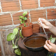 Ji-Paraná está em estado de alerta para surto de dengue