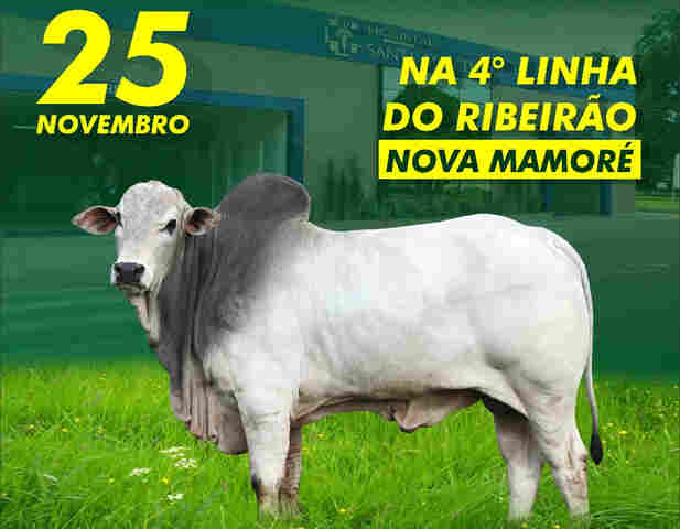 Leilão beneficente em prol do Hospital Santa Marcelina