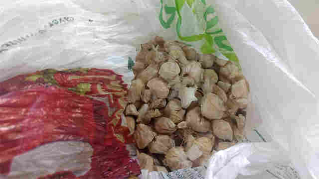 Foragido é preso com 130 porções de cocaína