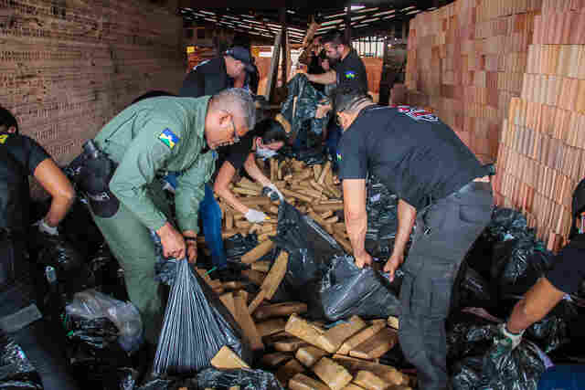 Denarc incinera mais de uma tonelada de entorpecentes em Porto Velho