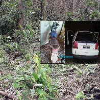 Homem é sequestrado e assassinado em distrito de Porto Velho