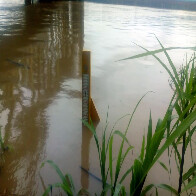 Nível do Rio Madeira sobe mais de 3 metros e se aproxima da cota de alerta