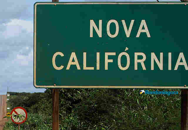 Mulher relata que filha de 11 anos foi estuprada e teve imagens divulgadas em grupos de Whatsapp