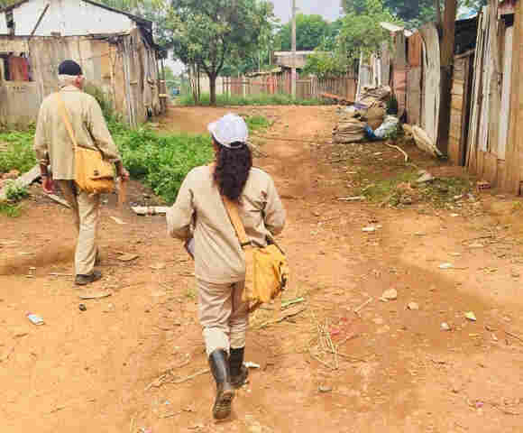 Riscos de proliferação do aedes aegypti e de outras doenças aumentam com as chuvas