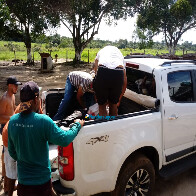 Vigilantes baleados durante tentativa de assalto a carro-forte seguem internados em Porto Velho