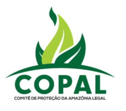 Comitê de Proteção da Amazônia Legal - Chamada para seleção de propostas