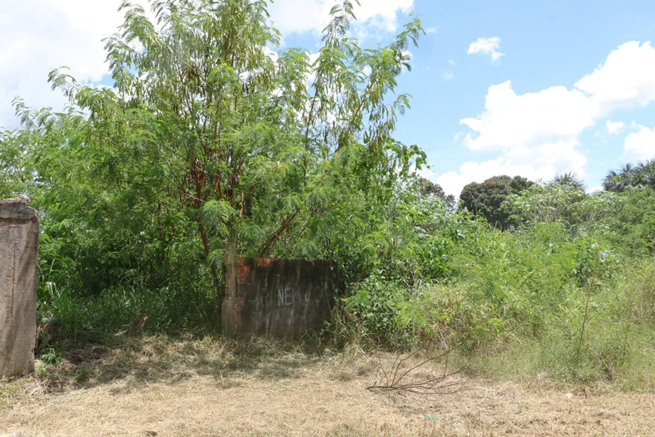 Proprietários de terrenos baldios podem ser multados em Ji-Paraná