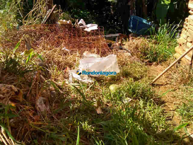 Polícia é acionada após trabalhador encontrar suposto feto; Perícia diz que ossada era de gato