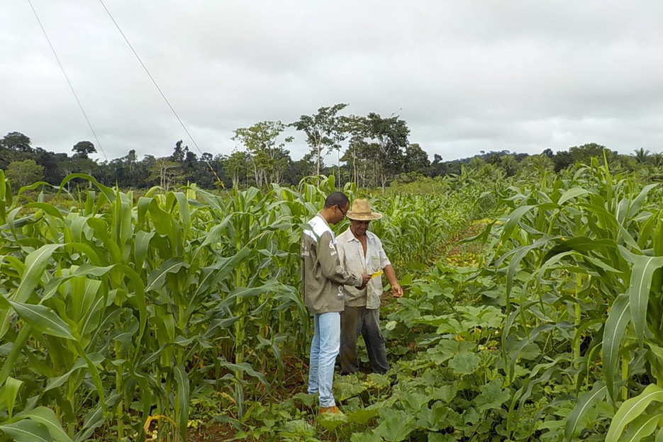 Projeto de desenvolvimento da agricultura familiar já cadastrou mais de 600 propriedades em Rondônia