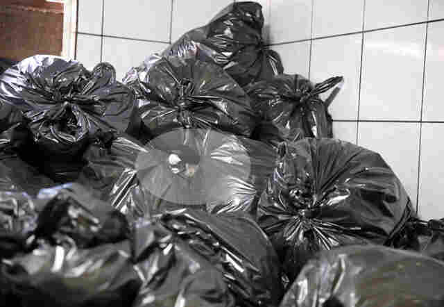 TCE faz fiscalização surpresa e encontra ratos em lixo do João Paulo II; Sesau diz que local não afeta pacientes