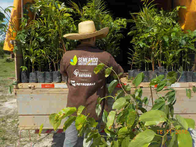 Semeando Sustentabilidade 4 já distribuiu mais de 180 mil mudas para recuperação de áreas