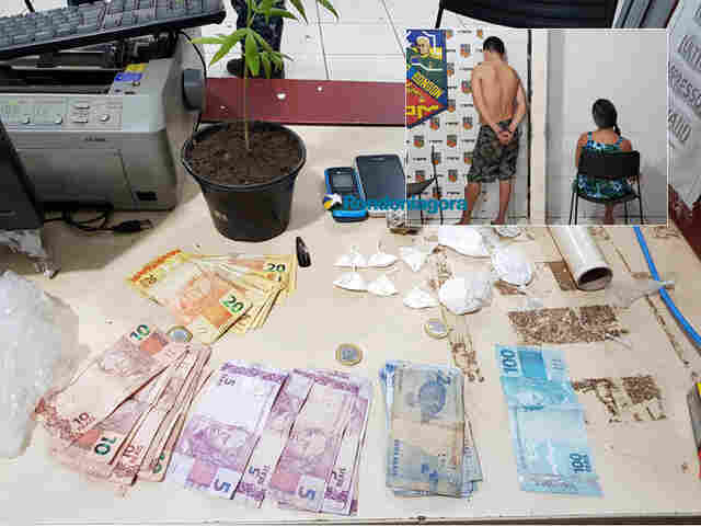 PM prende mulher ao flagrá-la entregando droga para homem que cultivava pé de maconha