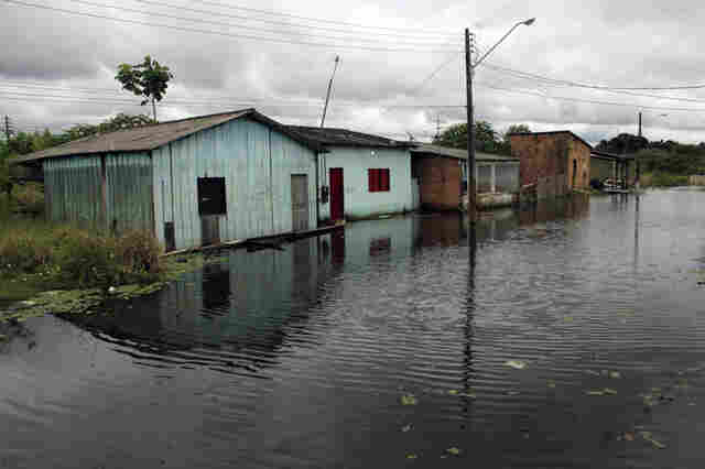 Mais de 300 famílias ribeirinhas atingidas pela cheia do Madeira recebem alimentos e água mineral