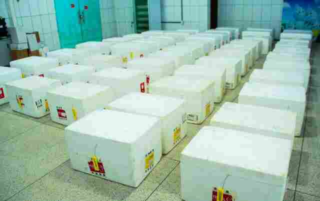 Mais de 400 mil pessoas dos grupos de prioridades devem ser imunizadas contra o vírus H1N1 em Rondônia