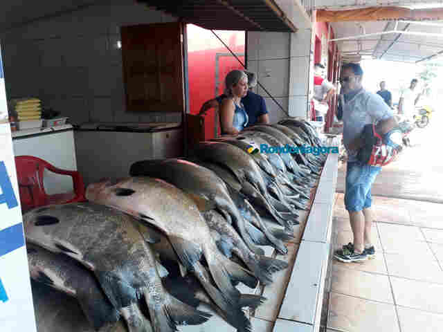 Cresce a procura por peixes na véspera do feriado santo em Porto Velho