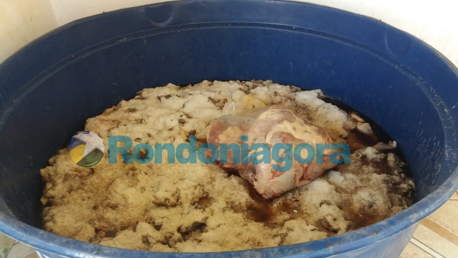 VÃdeo: PolÃcia e Semagric encontram quase uma tonelada de carne estragada em fábrica de charque
