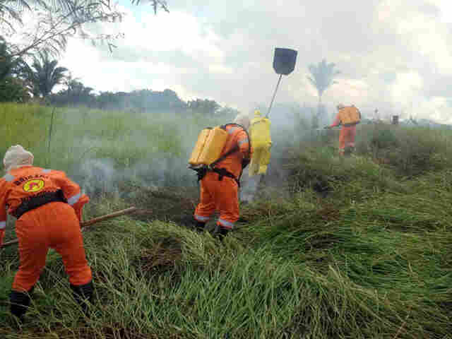 Aumentam focos de incêndio nos primeiros dias de maio; Bairros das zonas Leste e Sul lideram