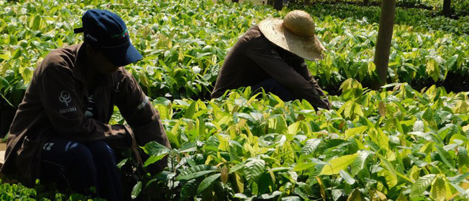 Projeto Plantar: 25 agricultores familiares participam do I Intercâmbio do Café 