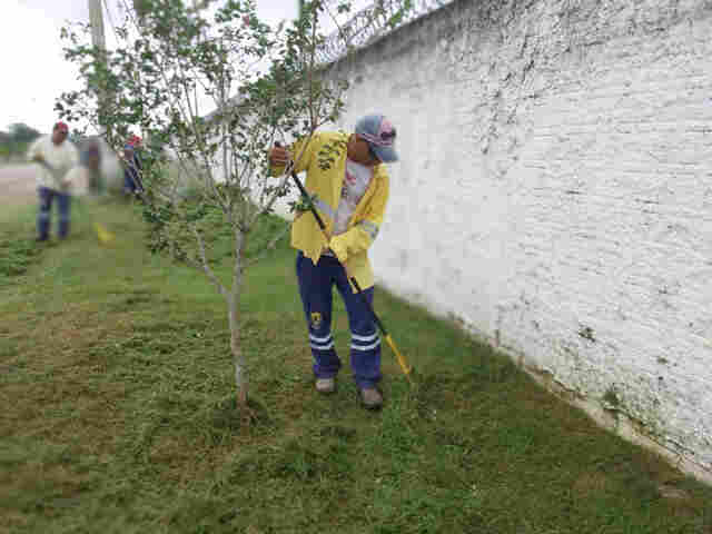 Mutirão de limpeza acontece em vários pontos de Porto Velho