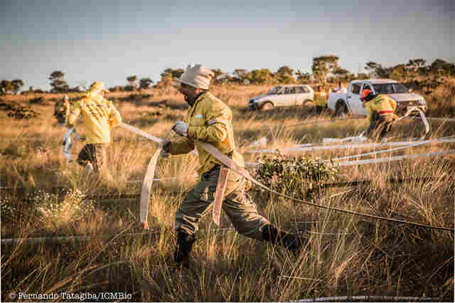ICMBio abre inscrições para brigadistas e chefes de esquadrão para a Flona Bom Futuro