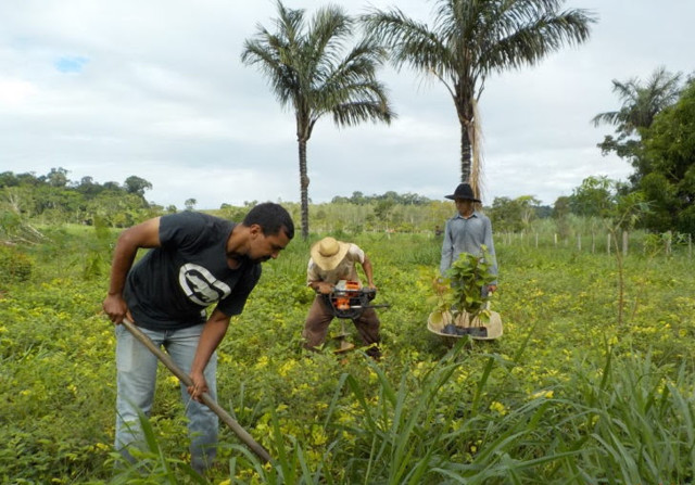 Projeto Plantar: mais de 800 hectares de áreas foram cadastrados para recuperação em Rondônia