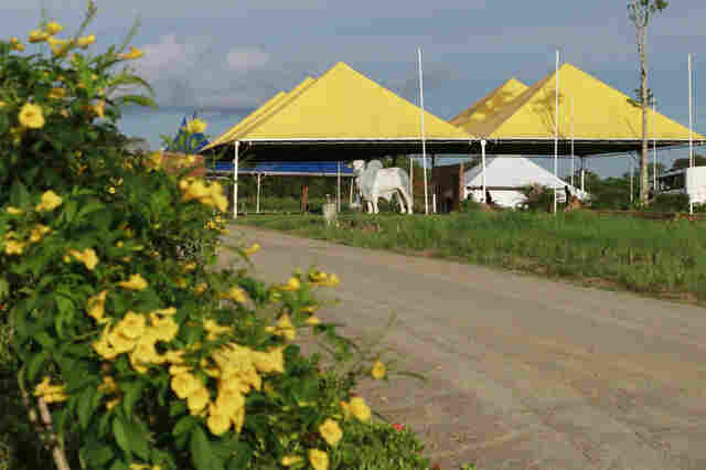 Vitrines tecnológicas revelam belezas do campo na 8ª Rondônia Rural Show em Ji-Paraná