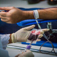 No mês do doador, Fhemeron fica em estado crítico por falta de doadores dos tipos A, B e O negativos