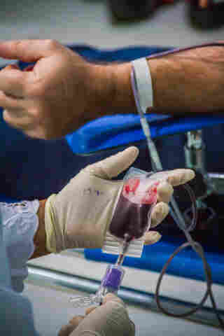 No mês do doador, Fhemeron fica em estado crítico por falta de doadores dos tipos A, B e O negativos