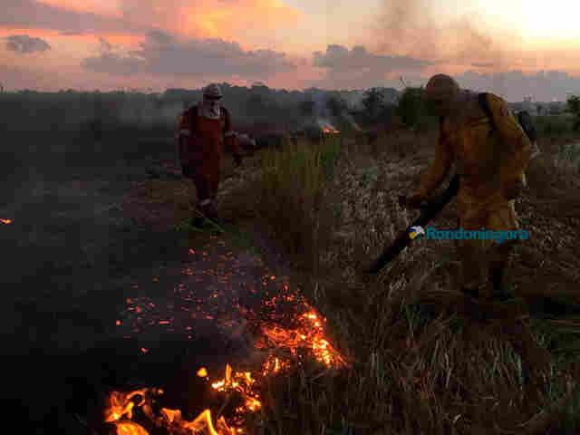 Vídeo: Desde maio, 173 incêndios já foram registrados em Porto Velho