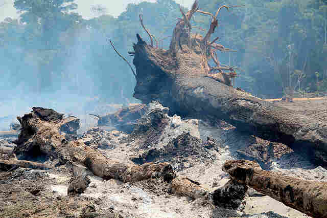 Rondônia registrou mais de 800 focos de calor em junho; Porto Velho lidera