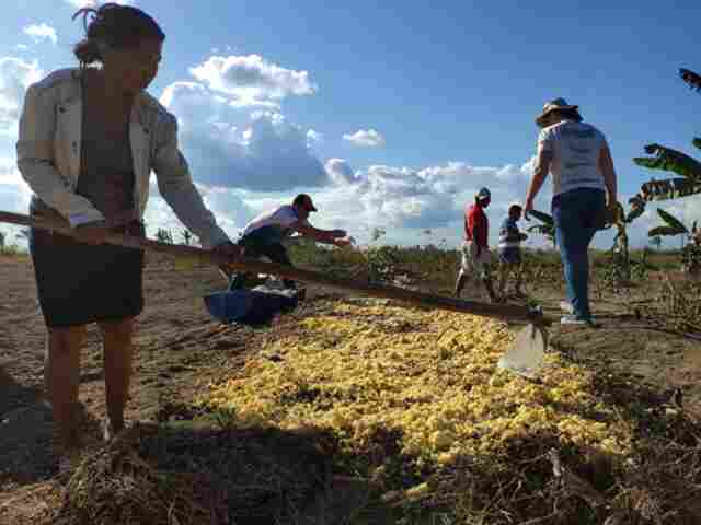 Curso “Quintais Produtivos” leva práticas agroecológicas a agricultores familiares de Candeias do Jamari