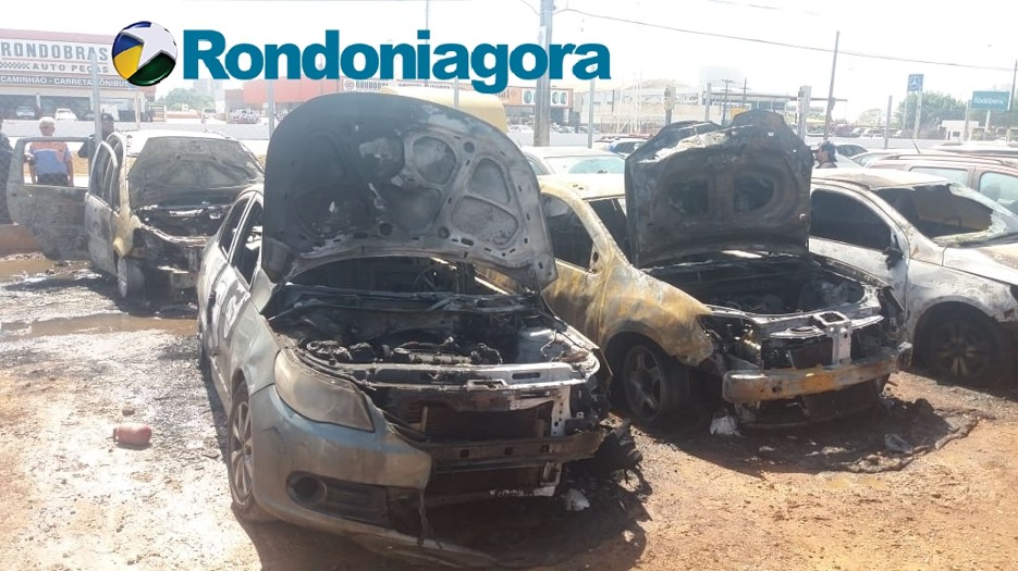Vídeo: Incêndio destrói veículos na empresa Saga