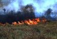 Força-tarefa inicia operação de combate a queimadas em Rondônia