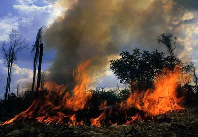 Bolsonaro autoriza Forças Armadas para combater queimadas em Rondônia