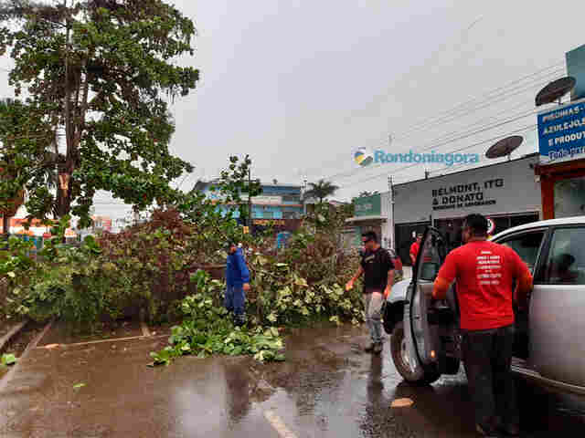 Vídeo e fotos: Temporal derruba árvores, alaga ruas e tumultua Porto Velho