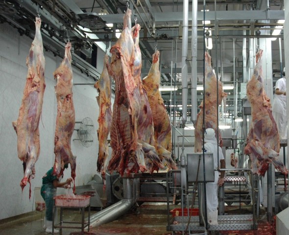 Frigorífico de Rondônia é autorizado a exportar carne para a China