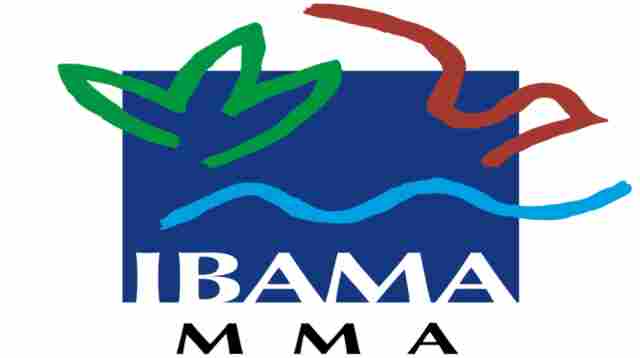 Site fraudulento simula recrutamento de servidores para o Ibama