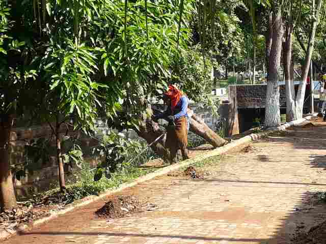 Mutirão de limpeza continua em diversos pontos da cidade