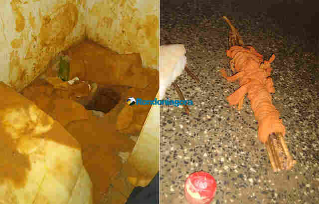 Agentes penitenciários evitam fuga em Porto Velho