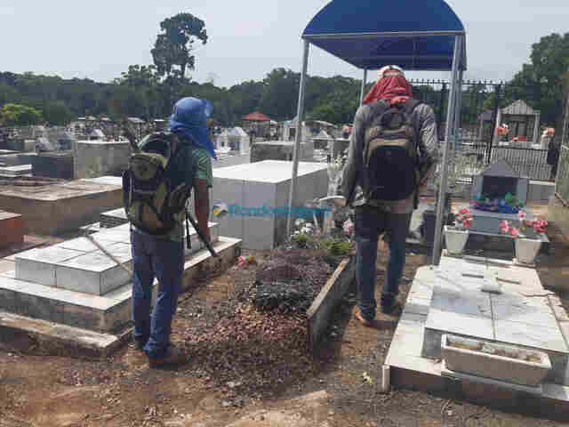 Limpeza de túmulos gera renda extra para dezenas de trabalhadores