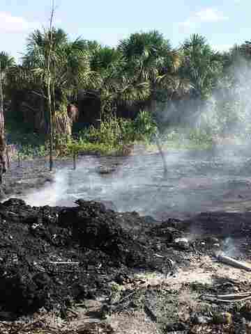 Governo de Rondônia apresentará projeto de combate às queimadas ao ministro do Meio Ambiente