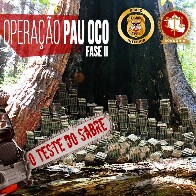 Pau Oco: Delegado detalha articulações do TJ vazadas por servidora e ataca desembargadores; ouça