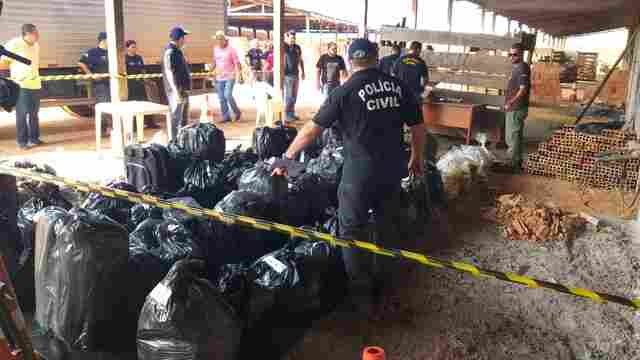 Denarc incinera 568 quilos de droga