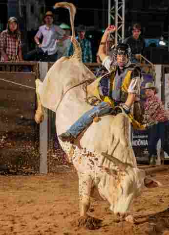 Lei assegura bem-estar animal em todas as atividades esportivas e culturais com bovinos e equinos