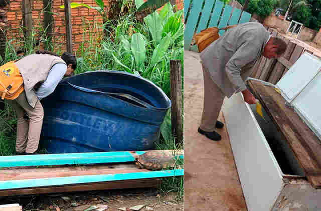 Prefeitura intensifica combate à dengue em Jaci-Paraná